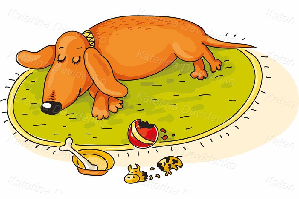 Cartoon dachshund vector art