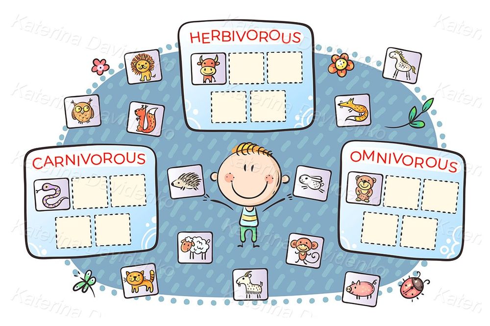 Task for kids, carnivorous, herbivorous and omnivorous animals