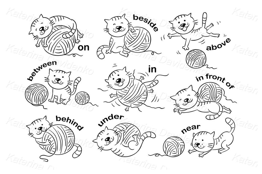 Cute Cat Prepositions Illustration – Learn English with Fun Hand-Drawn Art