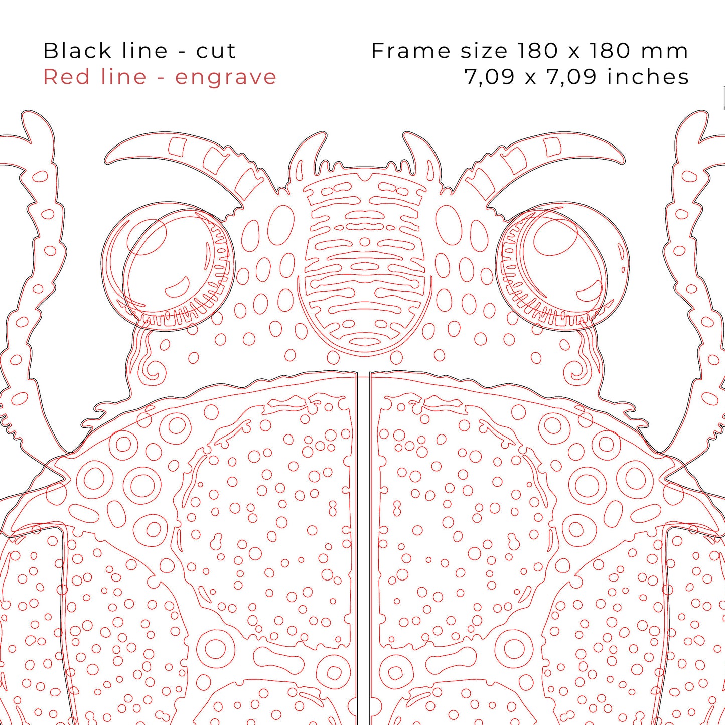 Beetle with frame for laser cutting, Bug wall art, DIY for wood craft
