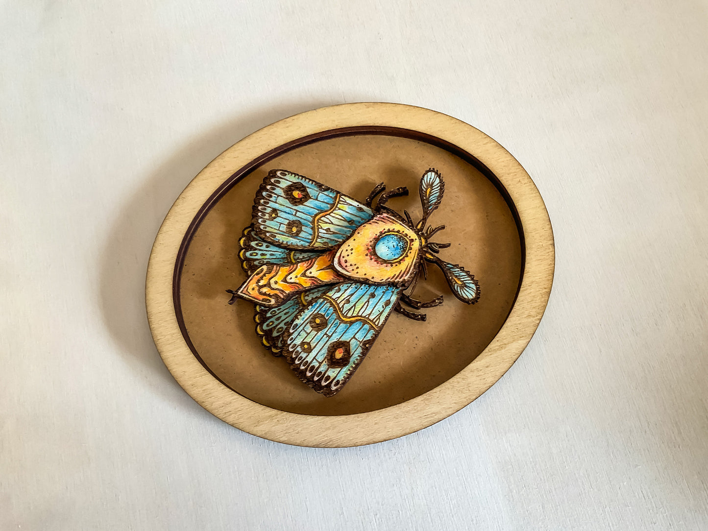Moth laser cut file for Glowforge xTool. DIY insect wall decor template