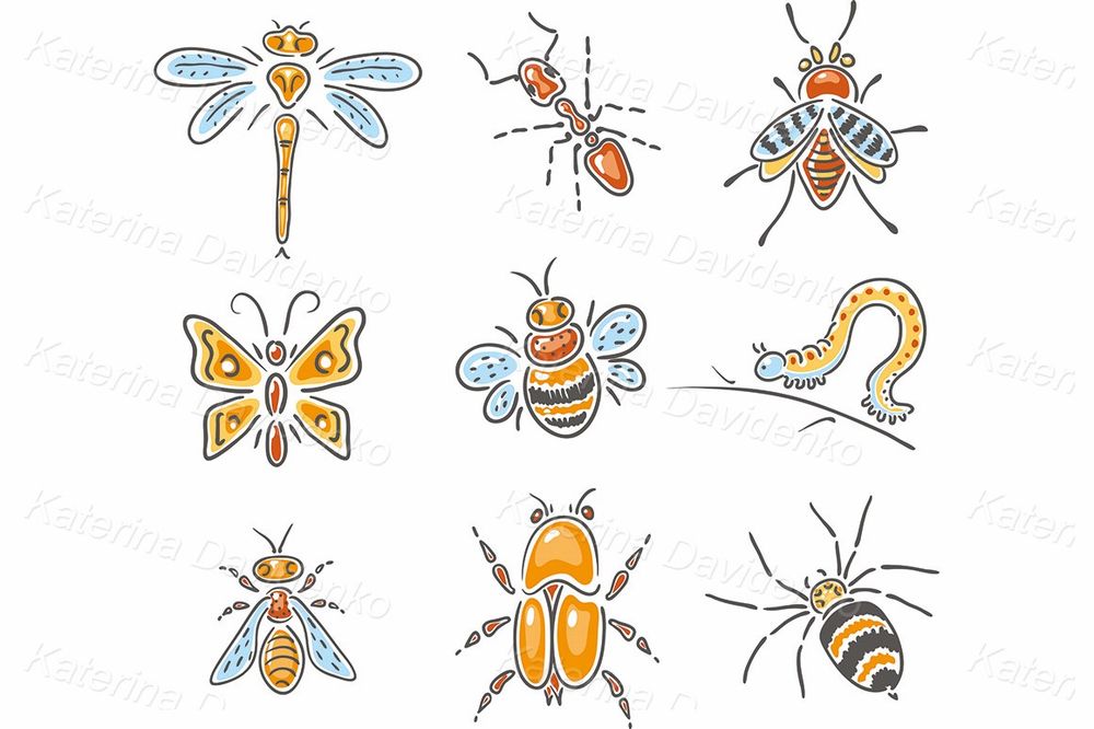 Clipart set of different sketchy insects