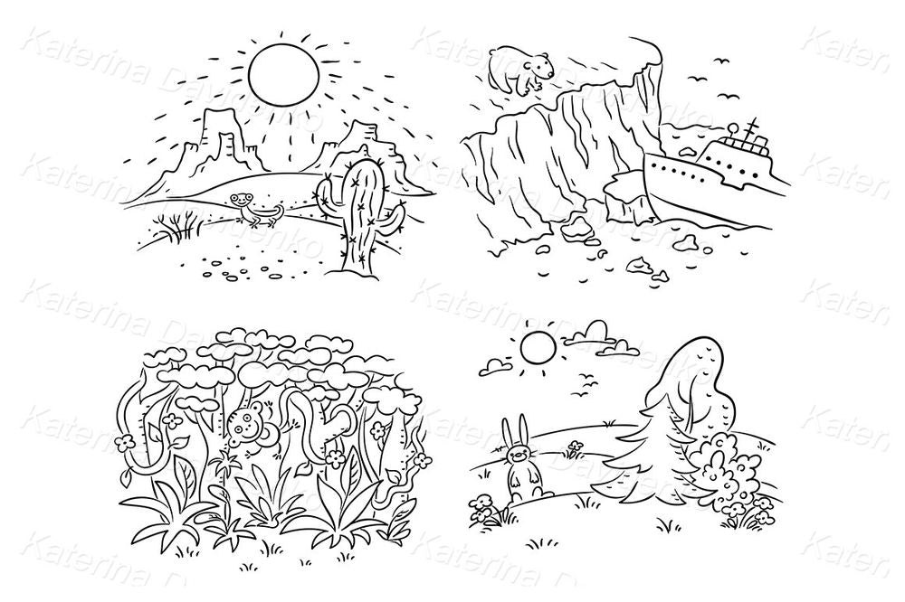 Cartoon Ecosystems Illustration – Forest, Desert, Arctic, and Grassland Nature Scenes