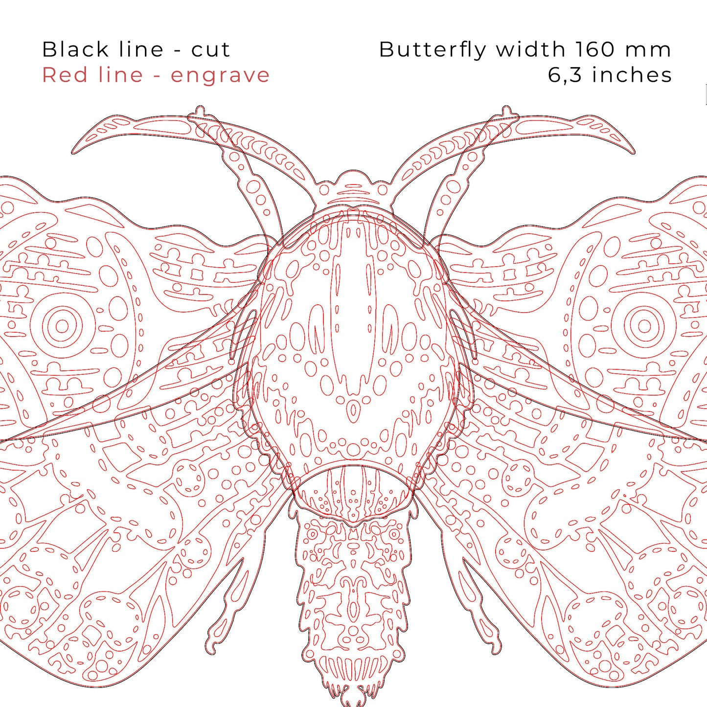 Butterfly DIY Wall Art. Decorative Moth Laser Cut File. Insect Glowforge xTool