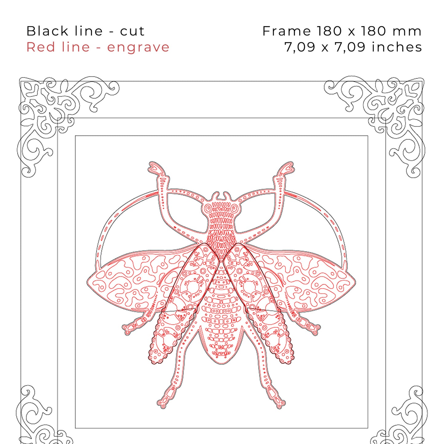 Beetle Laser Cut File - Insect Wall Art - DIY Bug for Wood Crafts