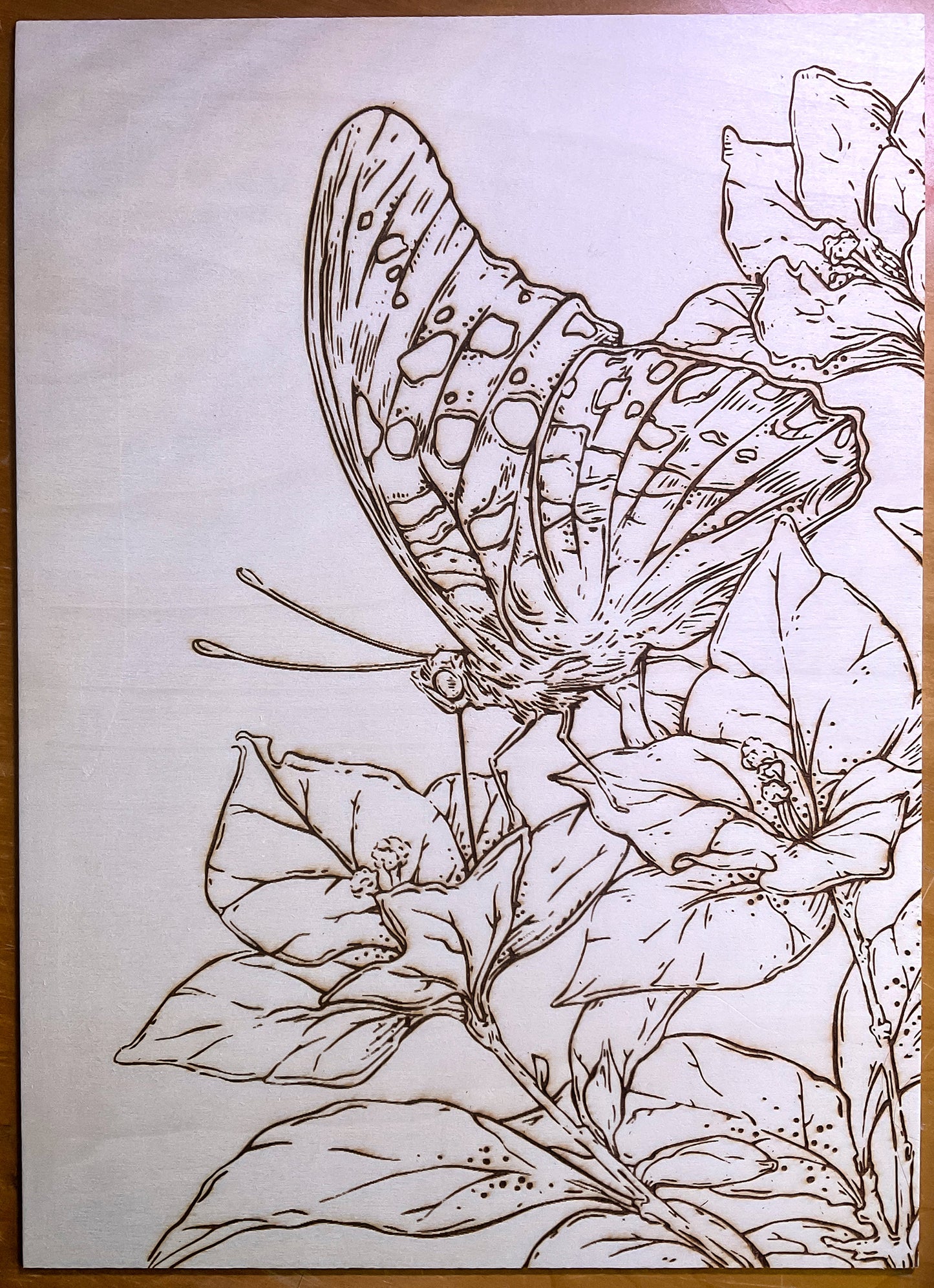 Butterfly Laser Engraving DIY Coloring Wall Art