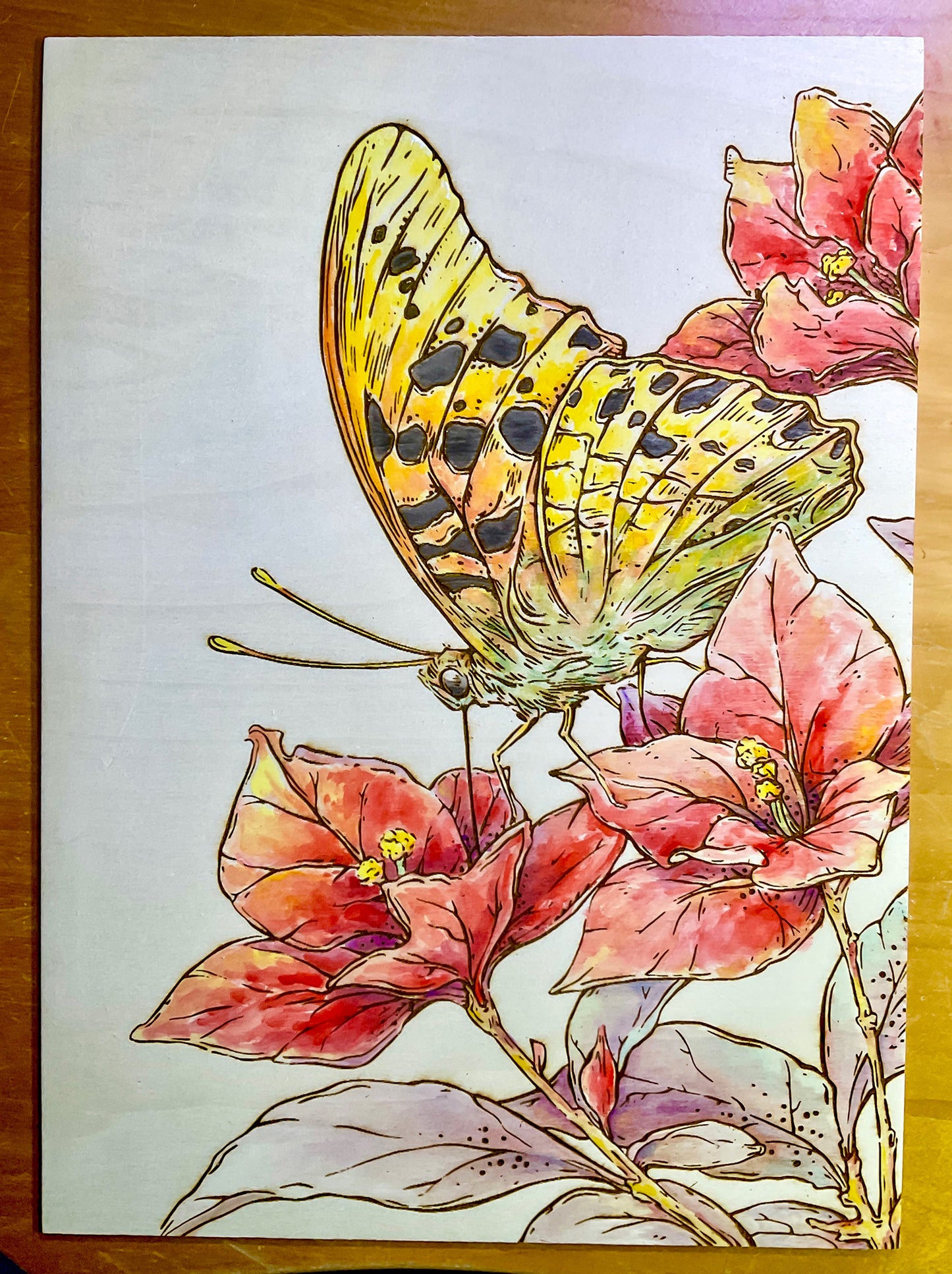 Butterfly Laser Engraving DIY Coloring Wall Art