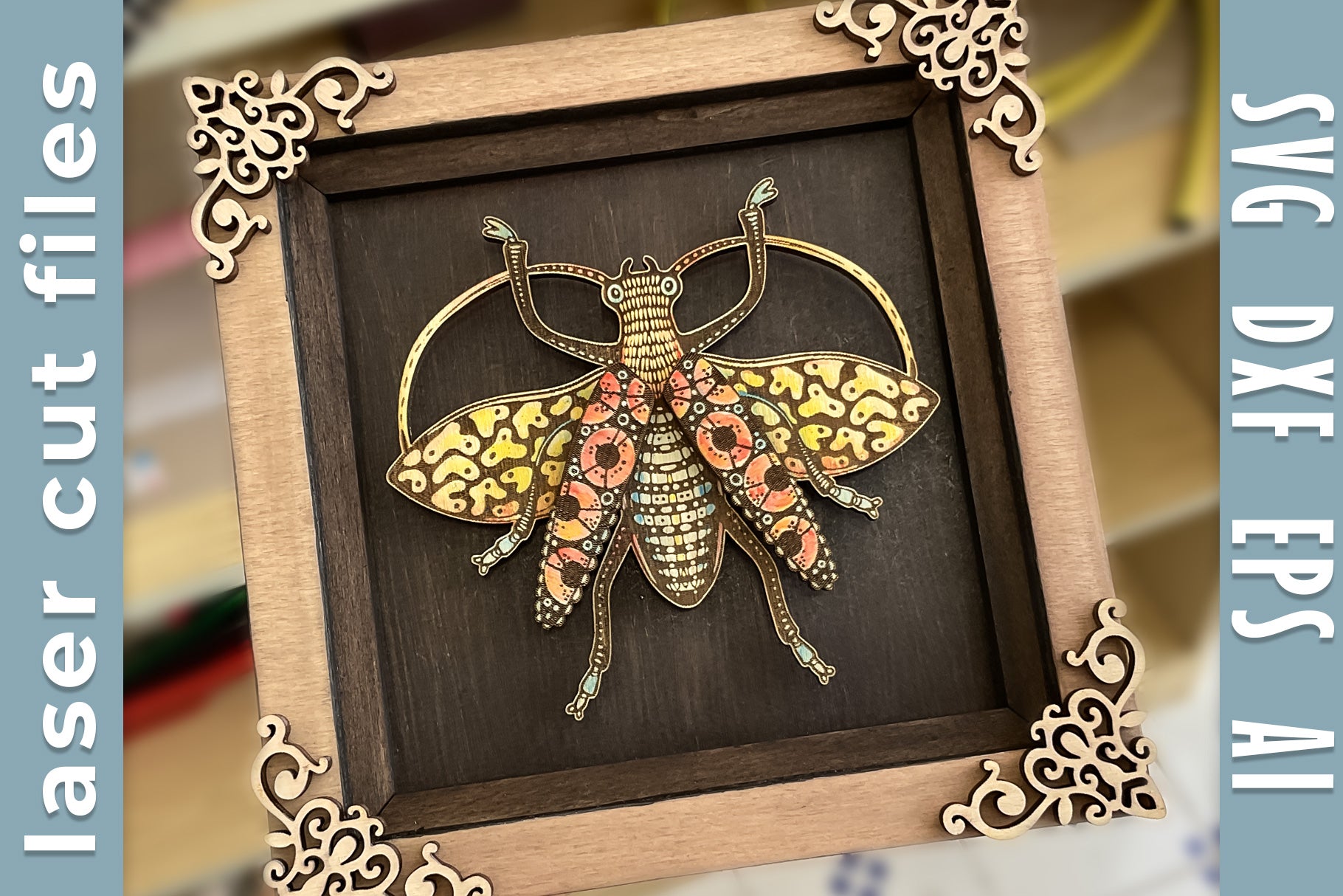 Decorative insect wall art with frame. Beetle laser cut file.